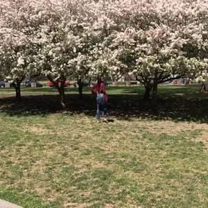 Meet your Posher, Darianara